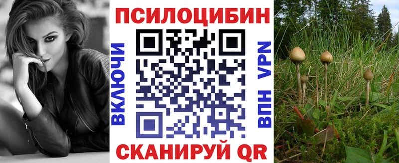 мориарти телеграм  Первомайск  Псилоцибиновые грибы GOLDEN TEACHER 